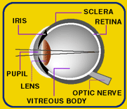 An eye with no refractive error